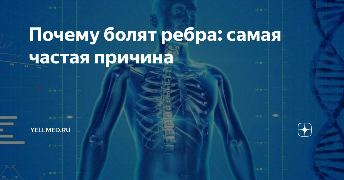 Конец ребра болит