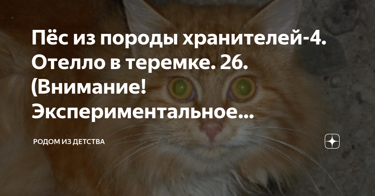 Пёс из породы хранителей-4. Отелло в теремке. 26. (Внимание ...