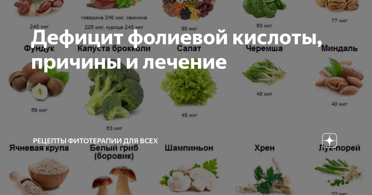 В каких продуктах есть фолиевая. Продукты с фолиевой кислотой. Фолиевая кислота в продуктах. Продукты с высоким содержанием фолиевой кислоты. Источники фолиевой кислоты в продуктах питания.