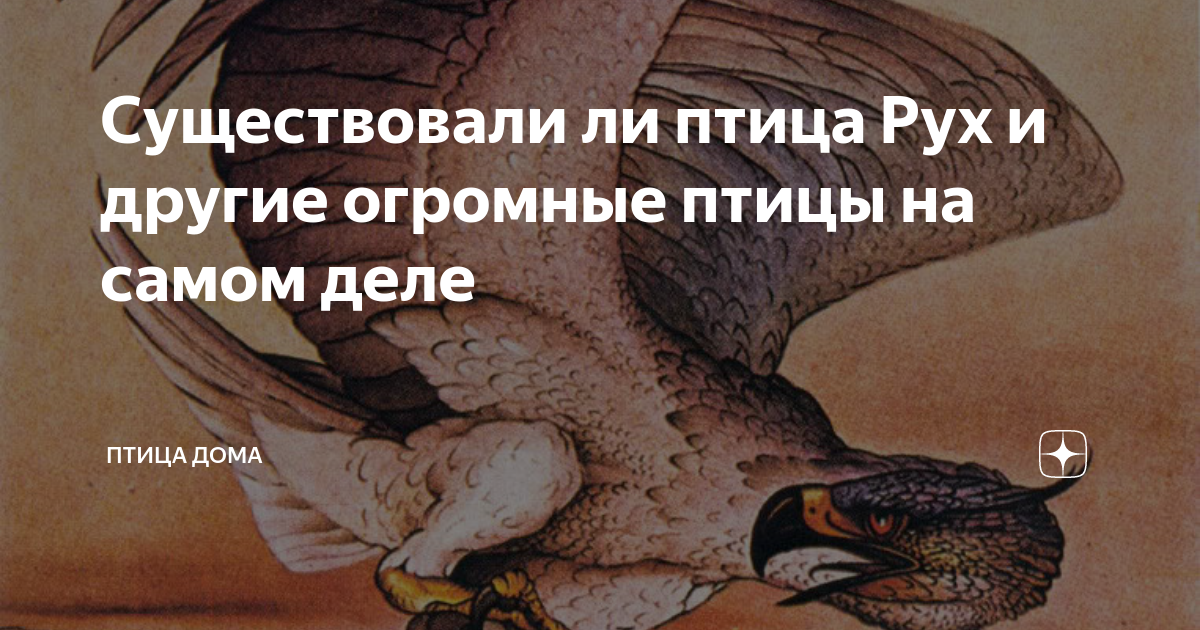 Любители птицы демотиваторы. Птица пофигица лежит не шевелится. Птица молвит тенья-тенья. Демотиваторы про птичек. Птица дело говорит.