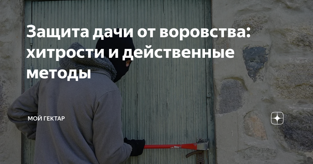 Защита дачи от воровства: хитрости и действенные методы | Мой гектар | Дзен