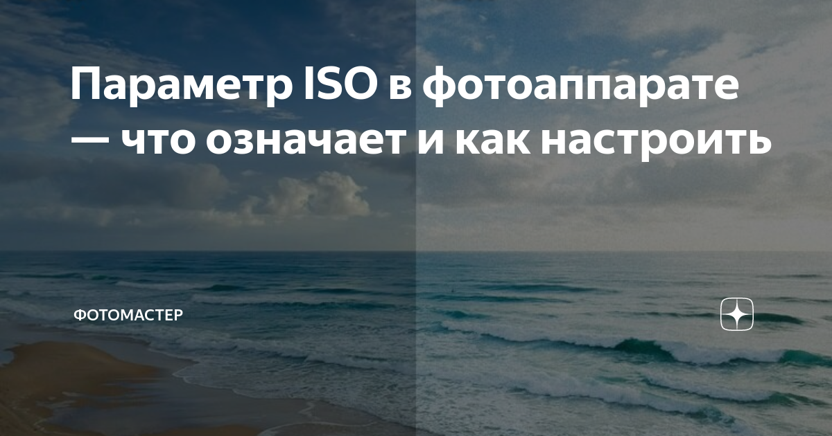 Параметр ISO в фотоаппарате — что означает и как настроить | ФотоМАСТЕР ...