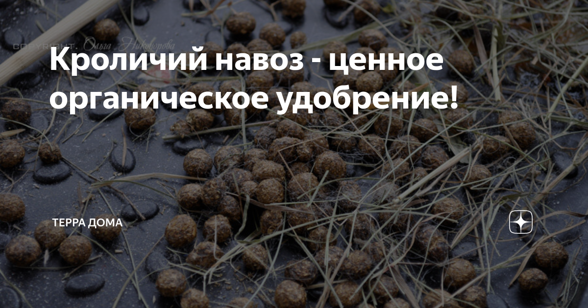 Кроличий навоз - ценное органическое удобрение! | Терра Дома | Дзен