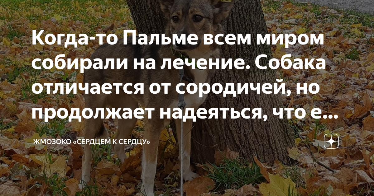 Надеяться продолжить