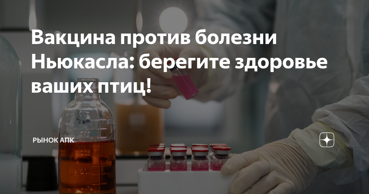 Вакцинация птицы против болезни Ньюкасла. Вакцина болезнь Ньюкасла кур. Вакцины от ньюкаслской болезни. Вакцина против ньюкаслской болезни 22111937а. Вакцина против ньюкаслской болезни