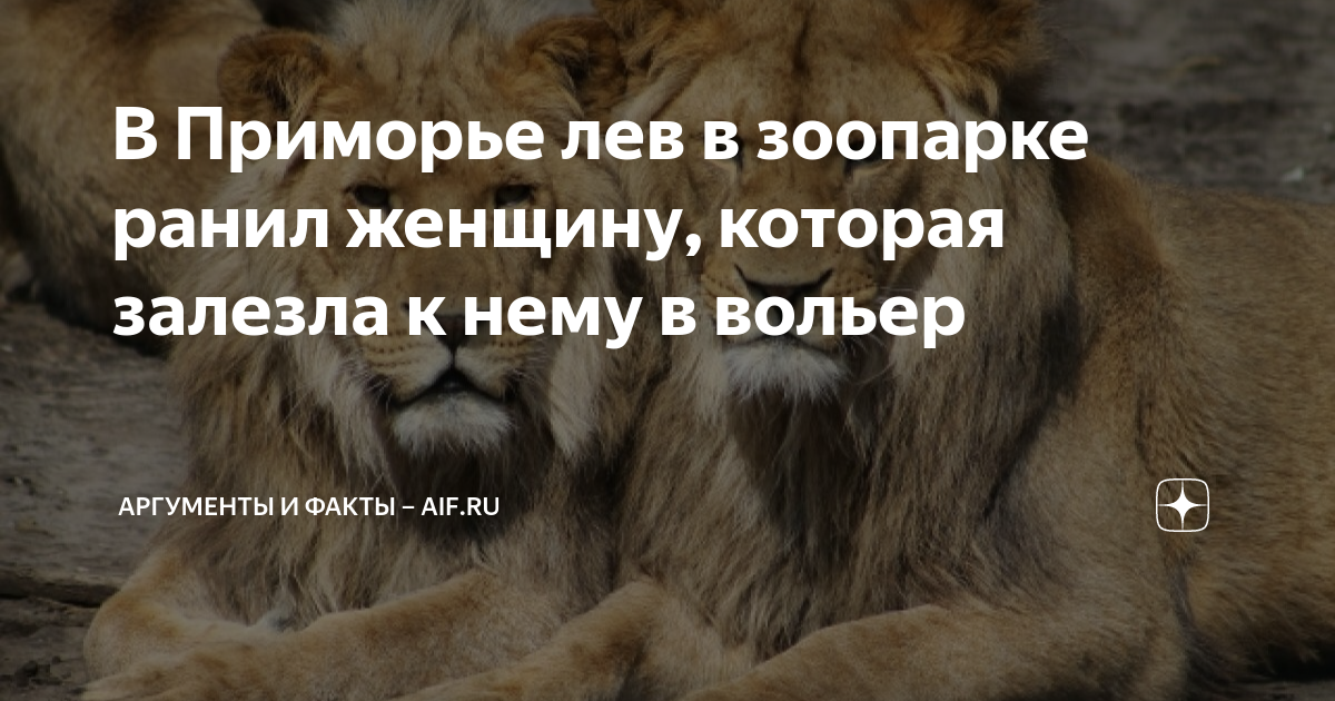 Пьяный посетитель зоопарка столкнулся с львом: чудо спасения или безумие?