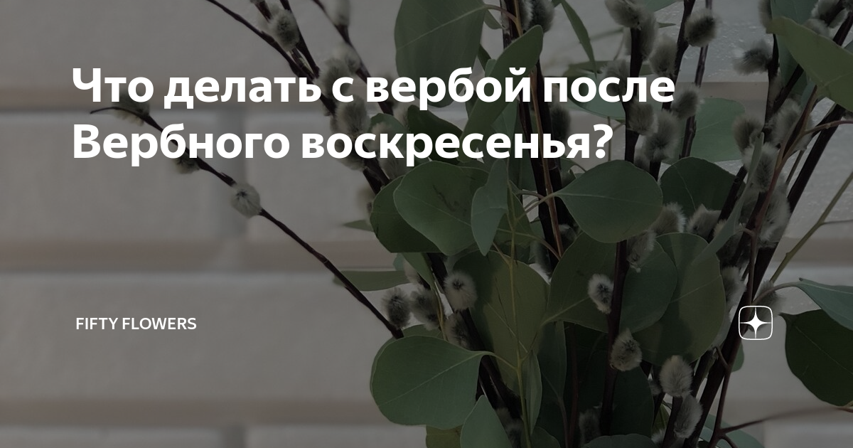 Что делать с веточками вербы после Вербного воскресенья?