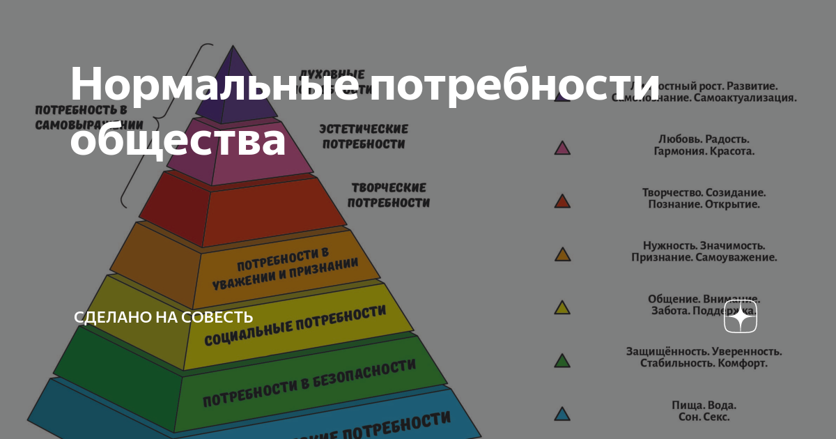 Экономика фундамент общества