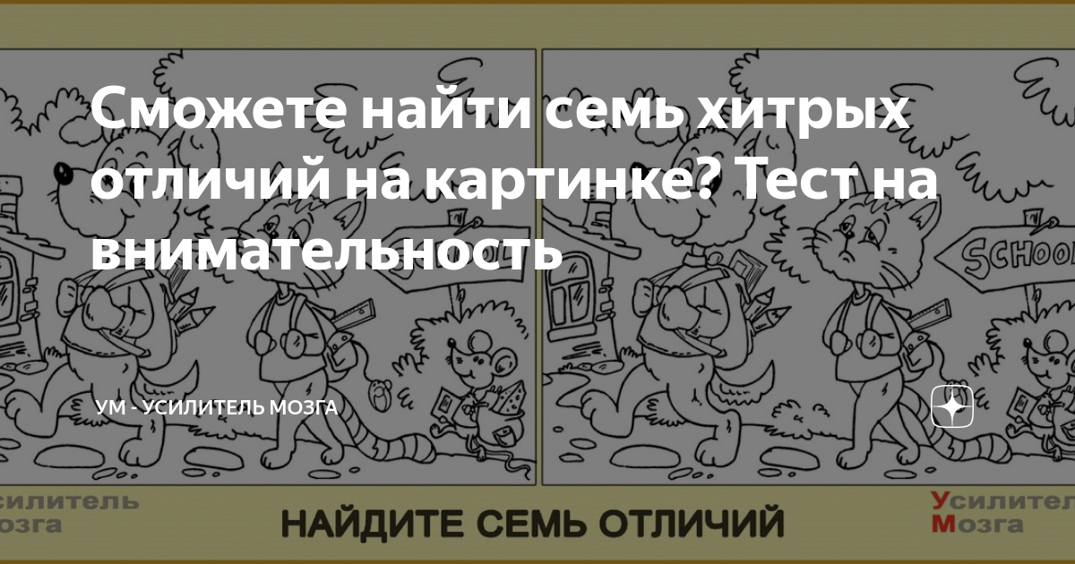 Дзен тесты в картинках