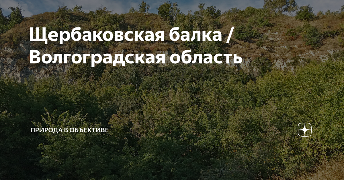 Щербаковская балка волгоградская область как доехать из волгограда карта