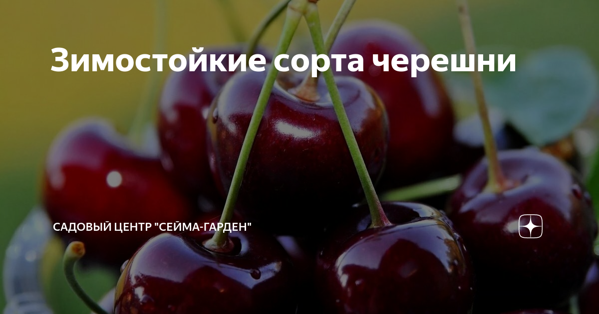 Можно ли черешню диабетикам 2 типа