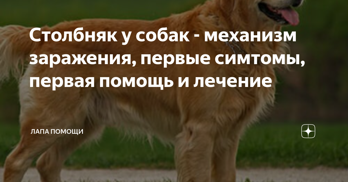 Комплексное лечение симптомов