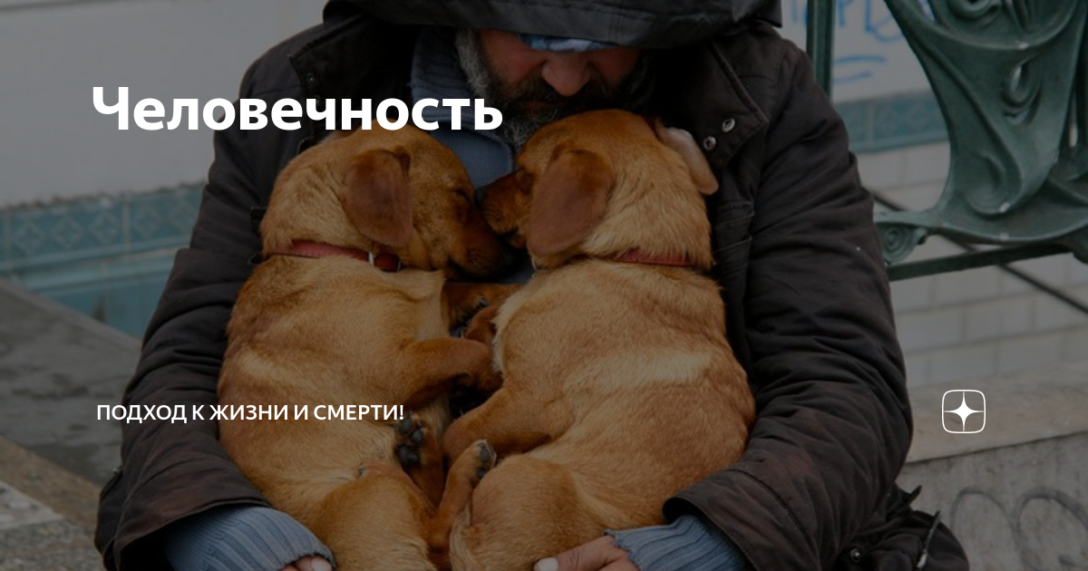 Почему человечность. Человек одетый в человечность. Люди одетые в человечность. Люблю людей одетых в человечность. Человечность в компании.