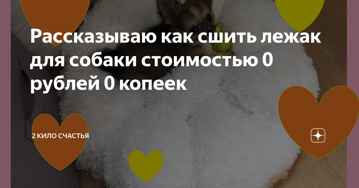 Лежанка для кошки из подушки своими руками (11 фотографий)