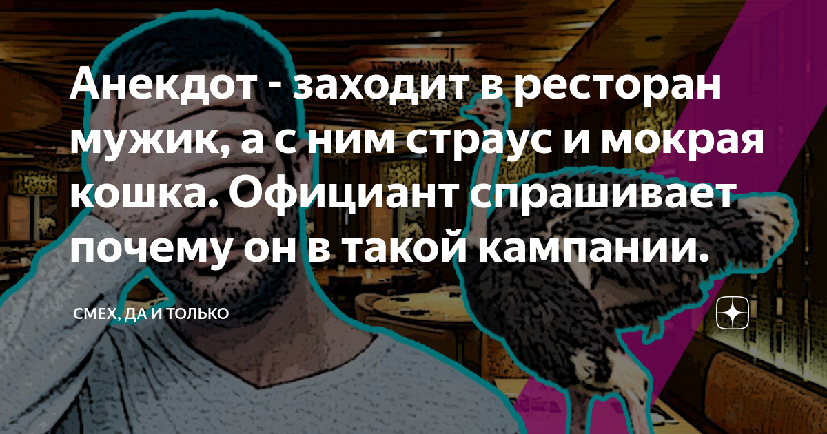 Анекдот заходит как то. Анекдот заходит как то