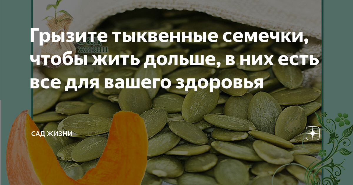 Тыквенные семечки сколько можно кушать. Тыквенные семечки полезные. Семена тыквы польза. Польза тыквенных семечек. Тыквенные семячки полезные.