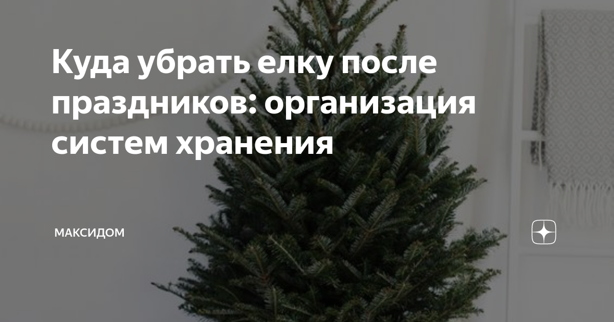 Когда убирать елку по православному календарю Когда нужно выбрасывать новогоднюю ёлку. Приметы и традиции Самый лучший блог Дз
