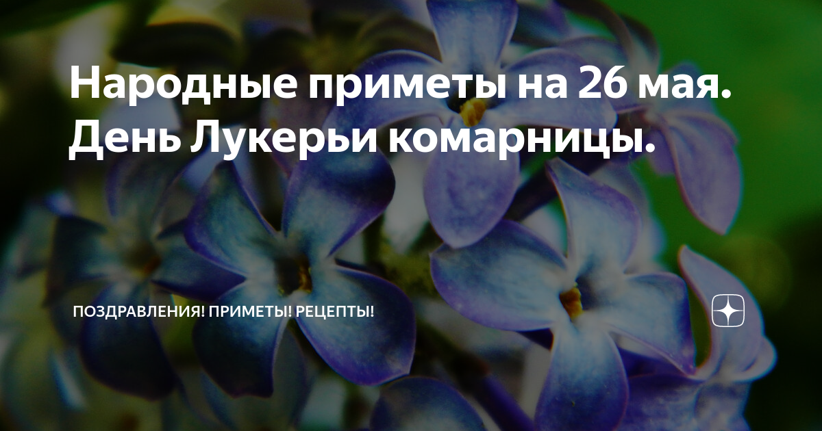 Приметы на 26 февраля 2024