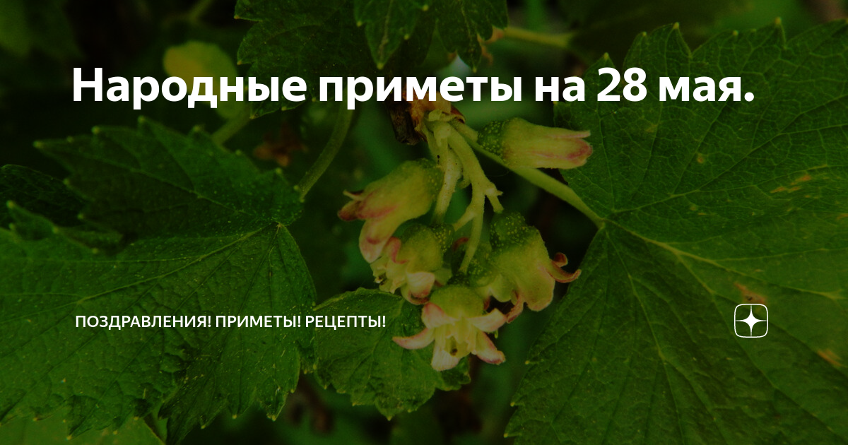 Приметы на 28 мая 2024 года. 28 Мая приметы.