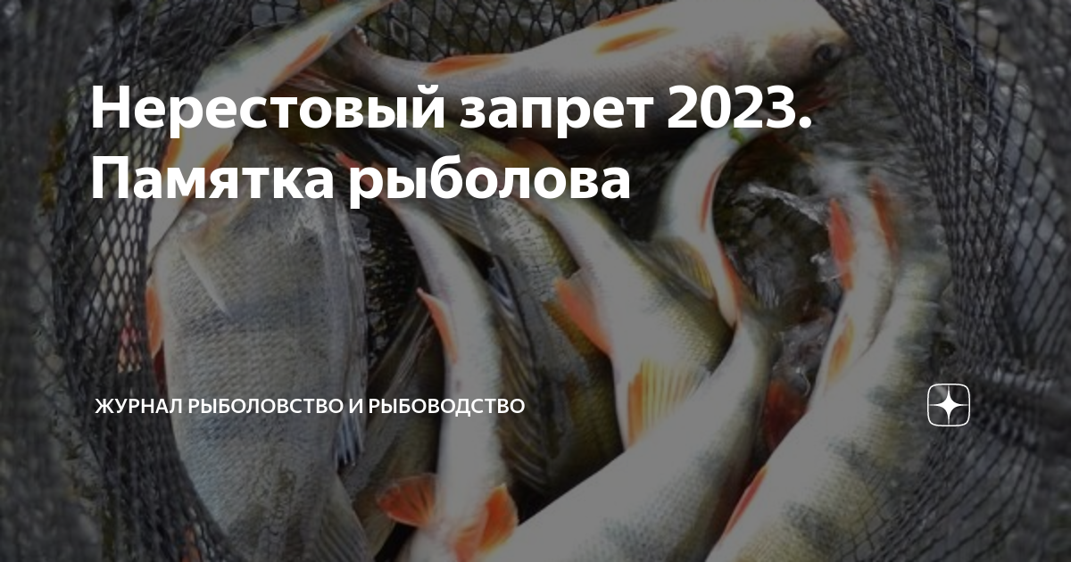 Запрет 2023