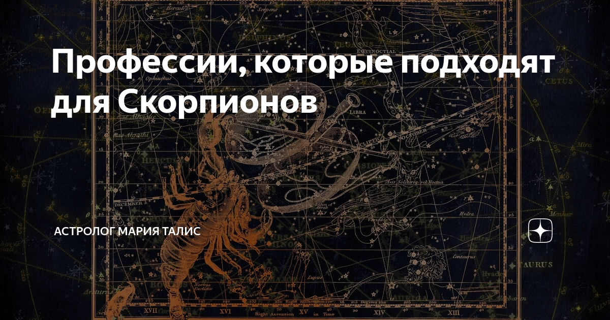 Профессии, которые подходят для Скорпионов | Астролог Мария Талис | Дзен