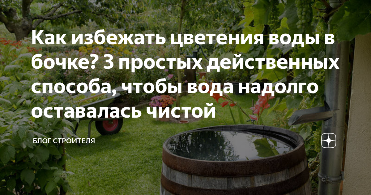 Что делать, чтобы вода в баке для полива не цвела – Энциклопедия домовладельца