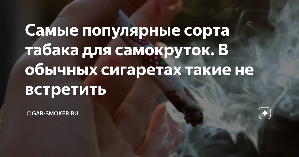 Самые популярные сорта табака для самокруток. В обычных сигаретах такие ...