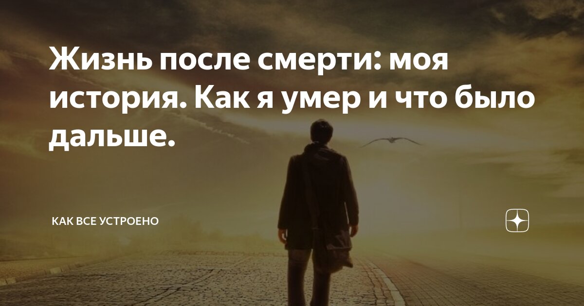 Некрасова жизнь после смерти. Жизнь после жизни есть я знаю дзен. Как жить дальше после смерти