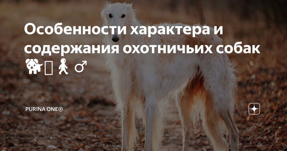 4. Постепенное усложнение команд