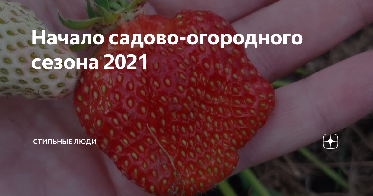 Начало огородного сезона картинки прикольные