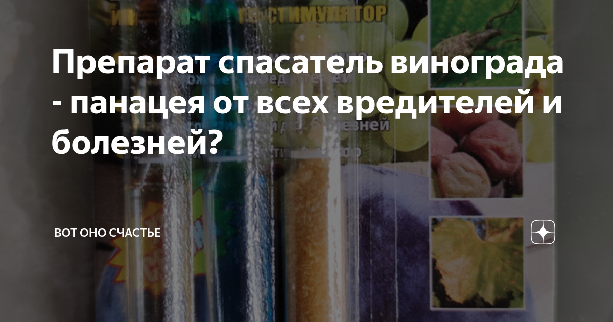Препарат спасатель винограда - панацея от всех вредителей и болезней?