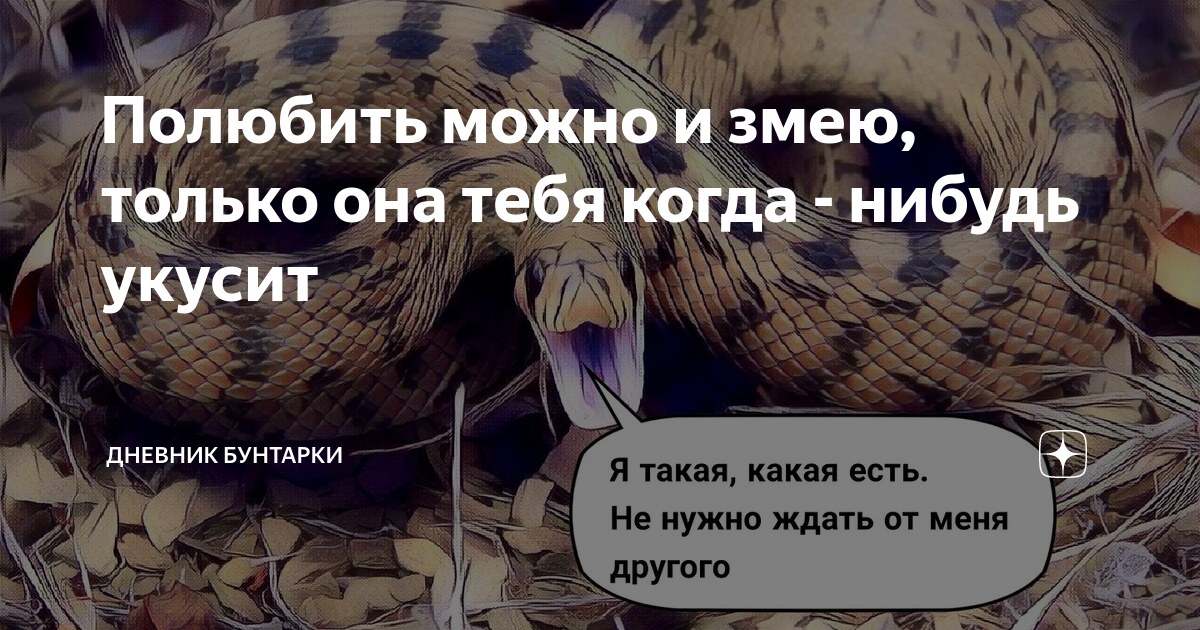 Цитаты про змею. Я люблю змей. Нельзя вытащить грязь из человека. Змеи мемы. Любовь это пройти вместе через все.