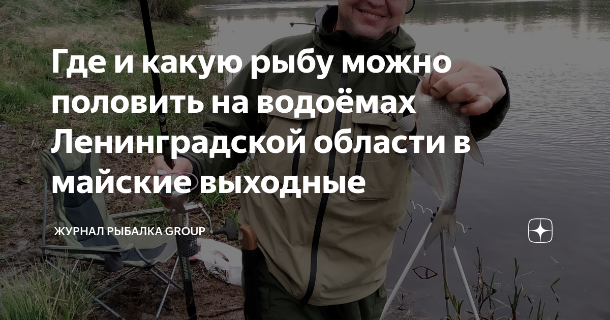 Интересные места для рыбалки в Ленинградской области | Новости и советы
