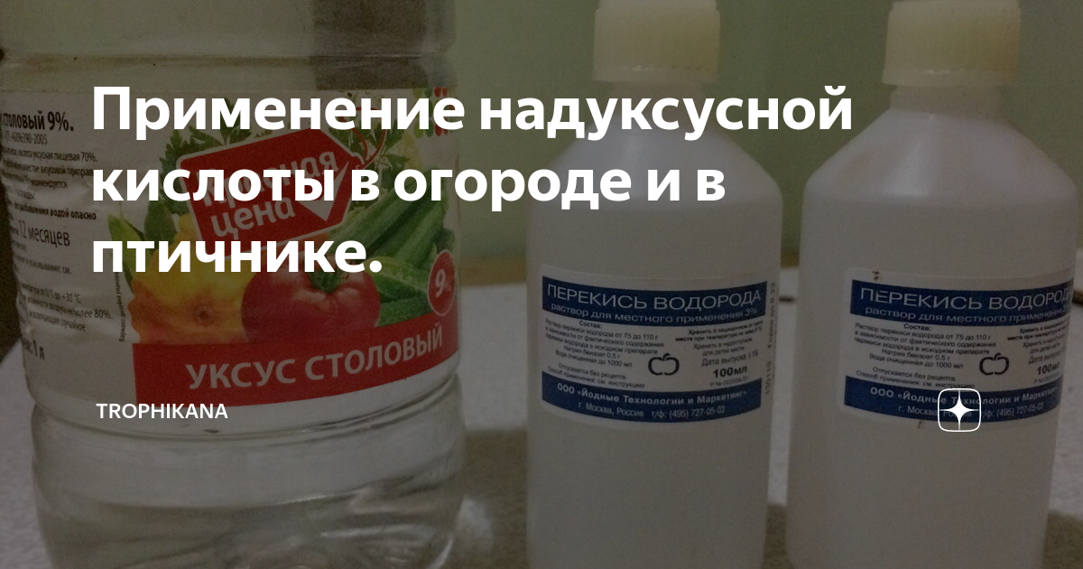 как сделать надуксусную кислоту