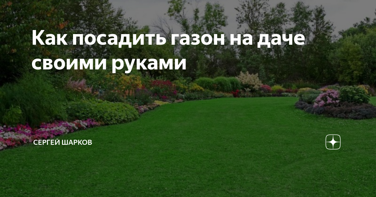 Как сделать газон на даче своими руками и ухаживать за ним