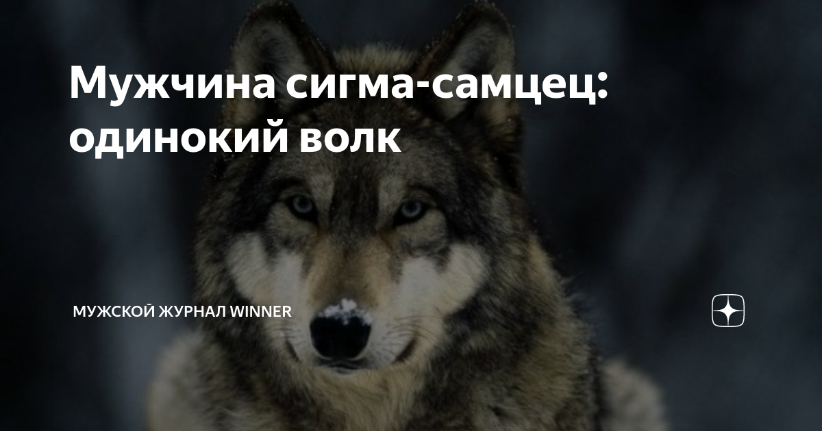 Дэвид Мич. Альфа-статус, доминантность и разделение труда в волчьей стае