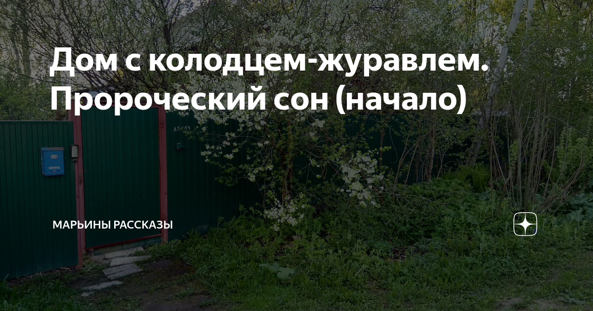 Марьины рассказы дзен. Марьины рассказы дзен. Марьины рассказы. Марьины рассказы дзен. Марьины рассказы дзен.