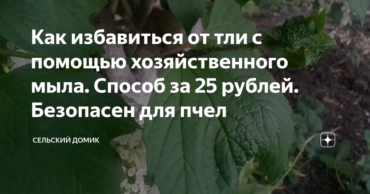 можно ли избавиться от вшей с помощью хозяйственного мыла