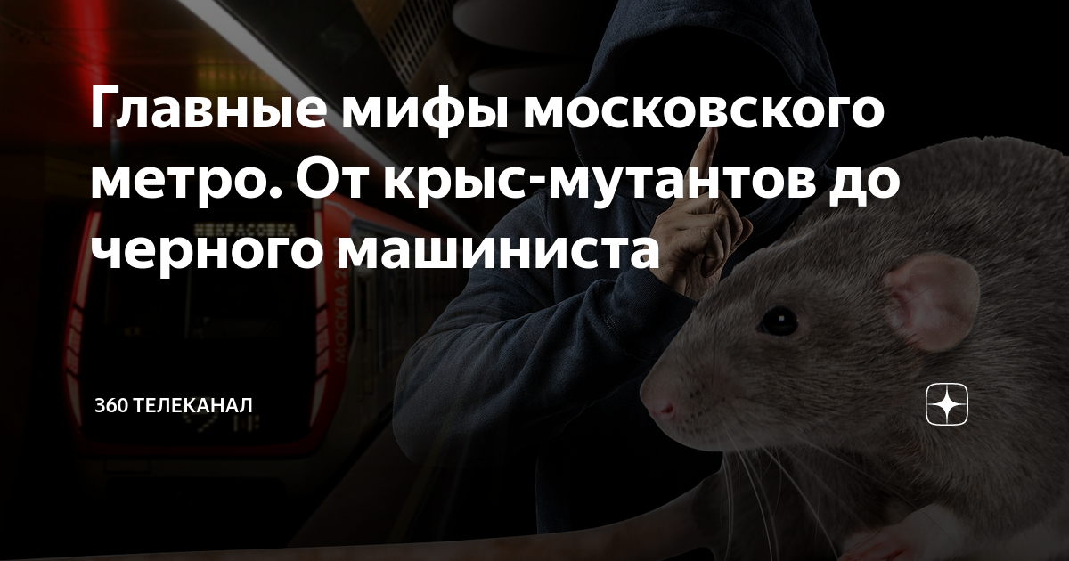 В Нью-Йорке начали борьбу с расплодившимися крысами: заработает детектор