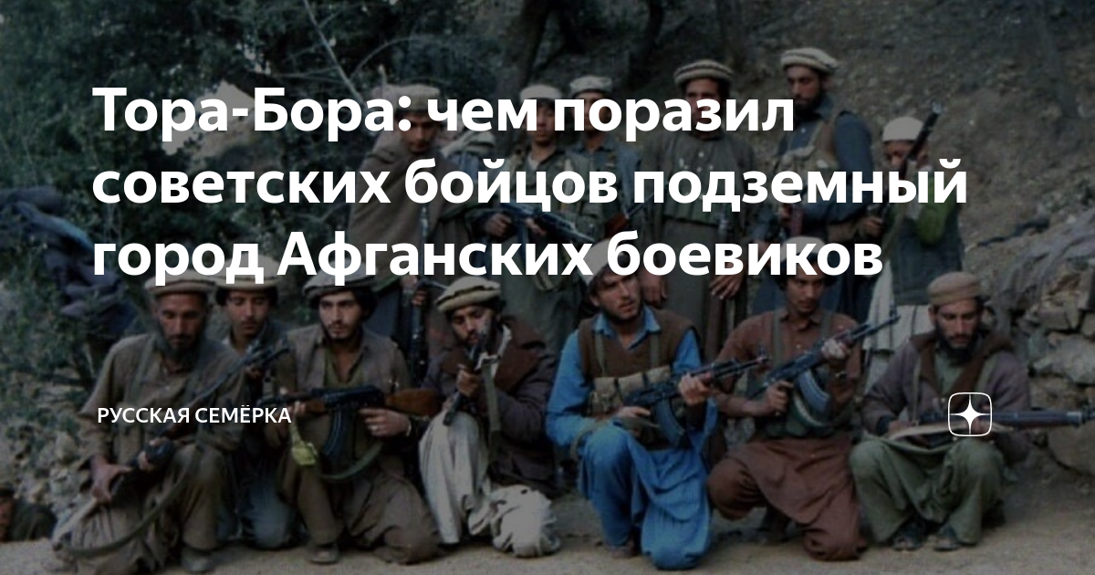 Нашид tora bora