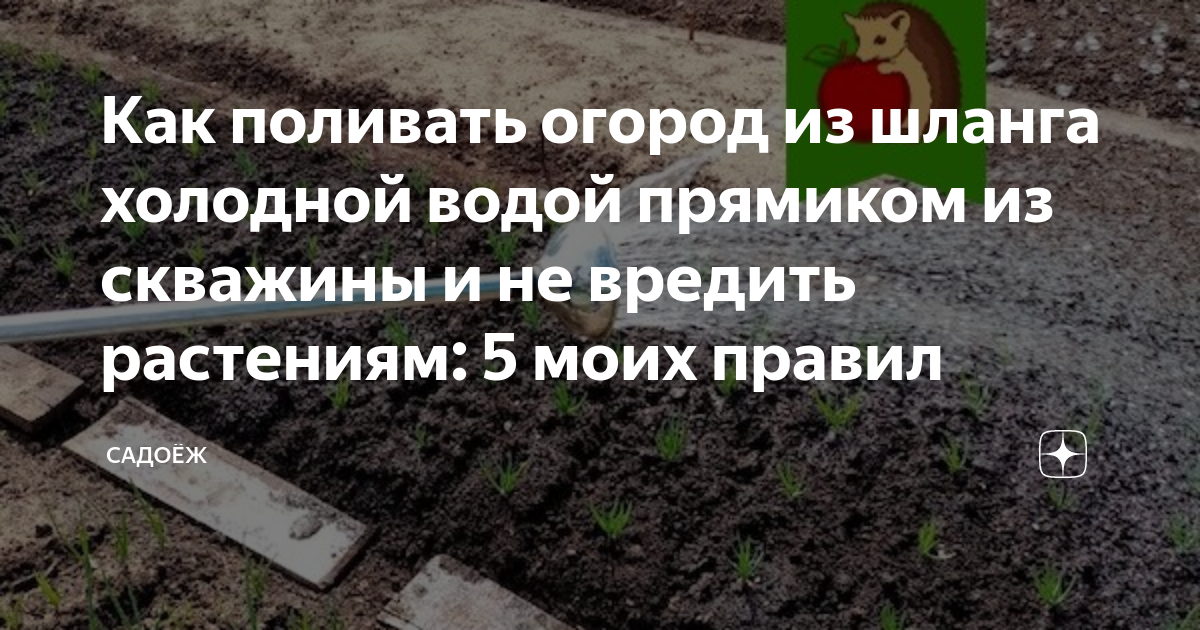 Как поливать огород из шланга холодной водой прямиком из скважины и не ...