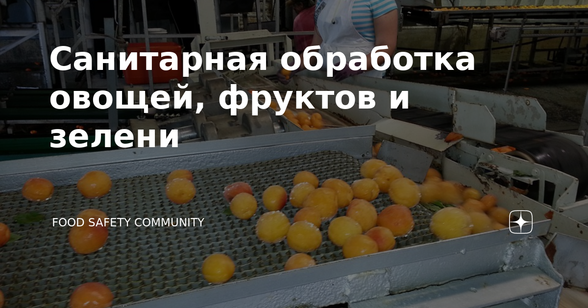 Технология обработки сырых фруктов, овощей и зелени на пищеблоке