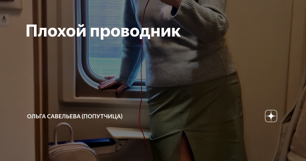 Плохой проводник | ОЛЬГА САВЕЛЬЕВА (ПОПУТЧИЦА) | Дзен