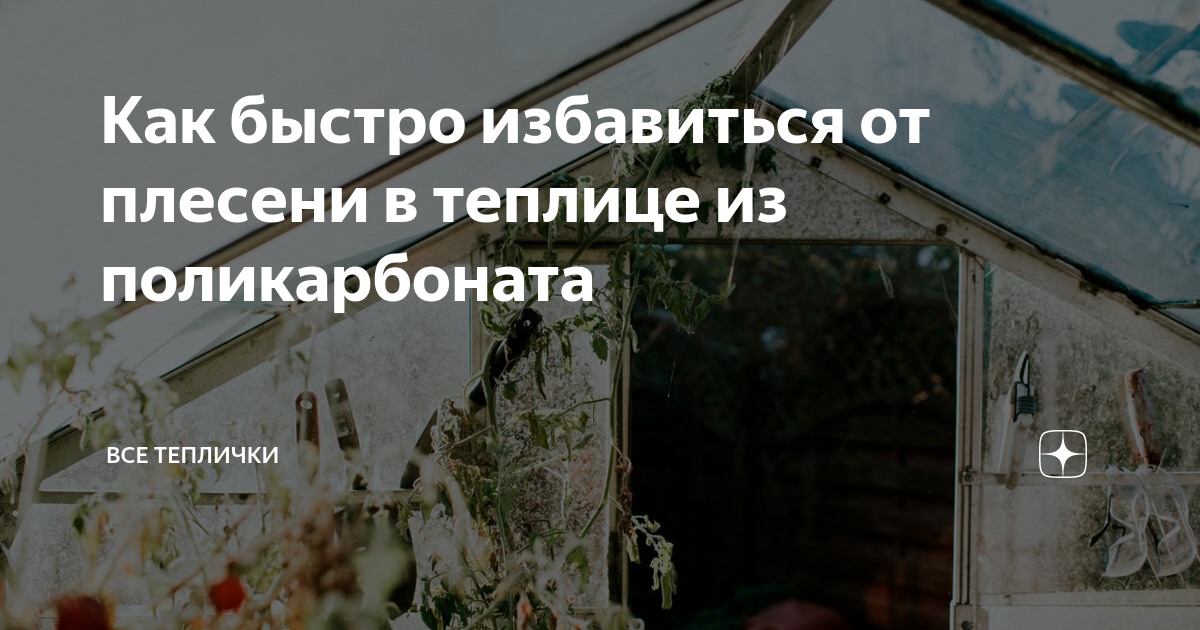 Монтаж теплицы под ключ в Жодино — рядом 33 строителя, отзывы на Профи