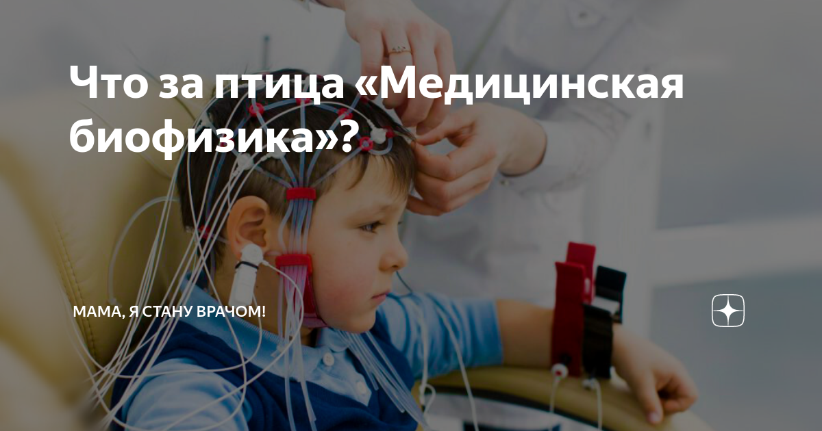 Биофизика человека. Медицинская биофизика что это. Медицинская биофизика что это. Медицинская биофизика что это. Медицинская биофизика картинка.