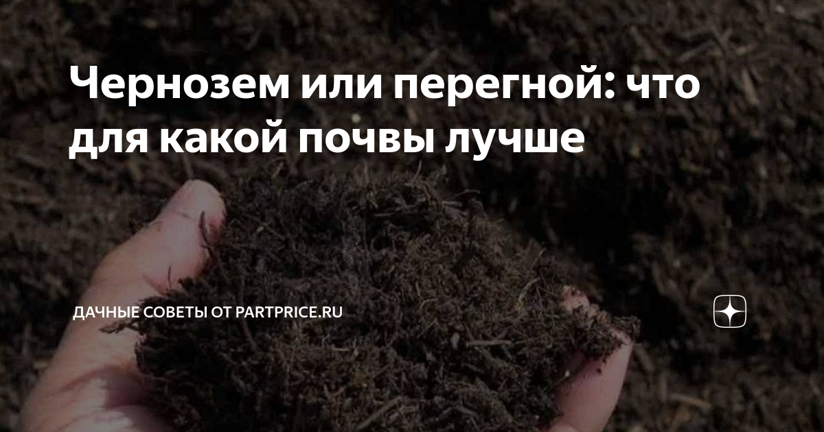 Чернозем или перегной: что для какой почвы лучше