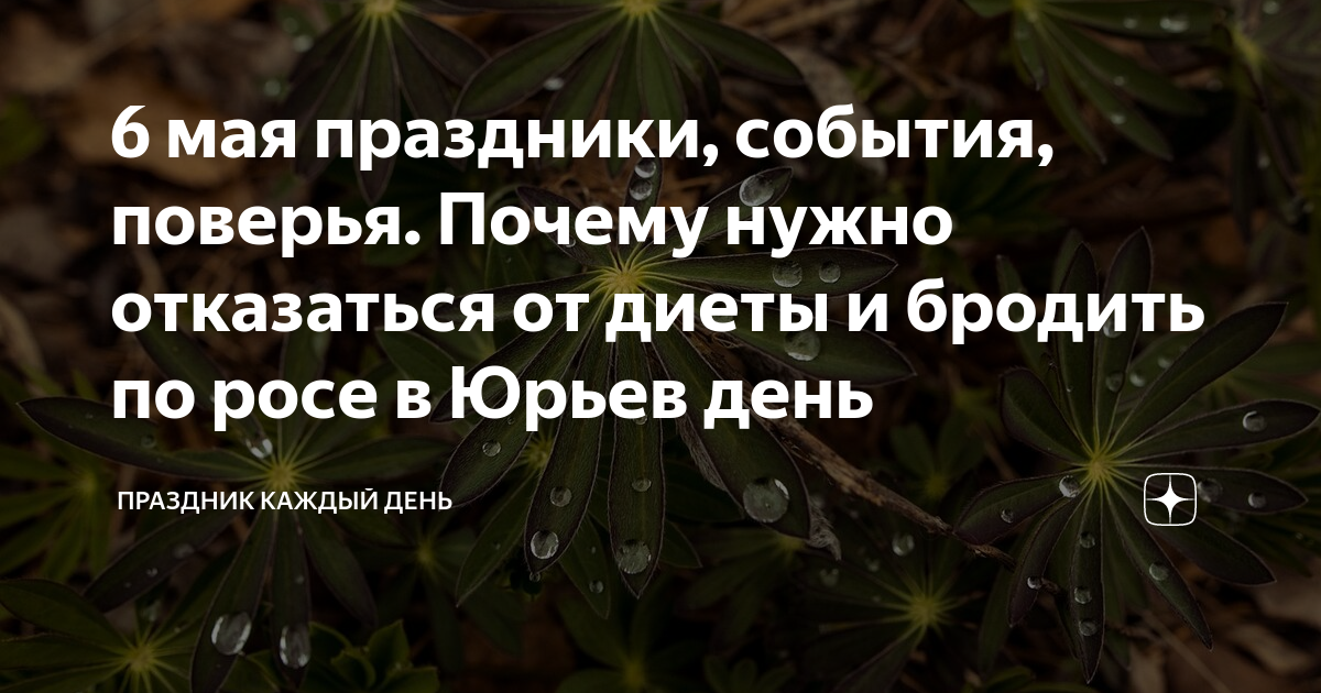 День против диеты 6 мая картинки прикольные