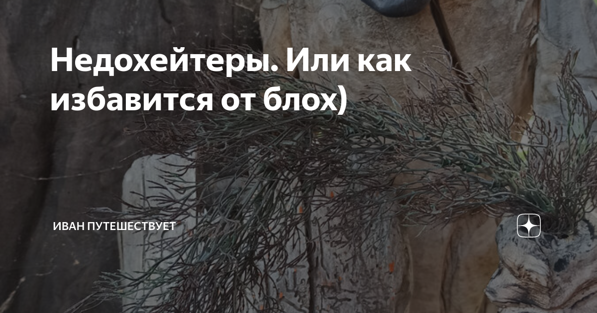 Путешествую одна дзен. Путешествую одна дзен