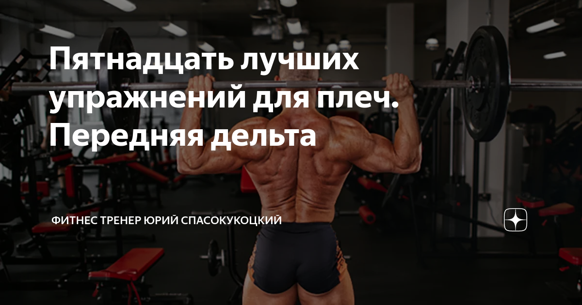 Пятнадцать лучших упражнений для плеч. Передняя дельта | Фитнес тренер ...