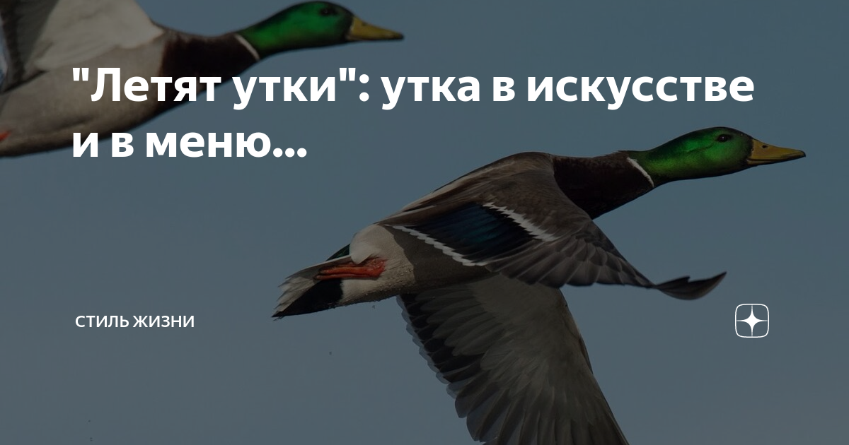 Летят утки автор